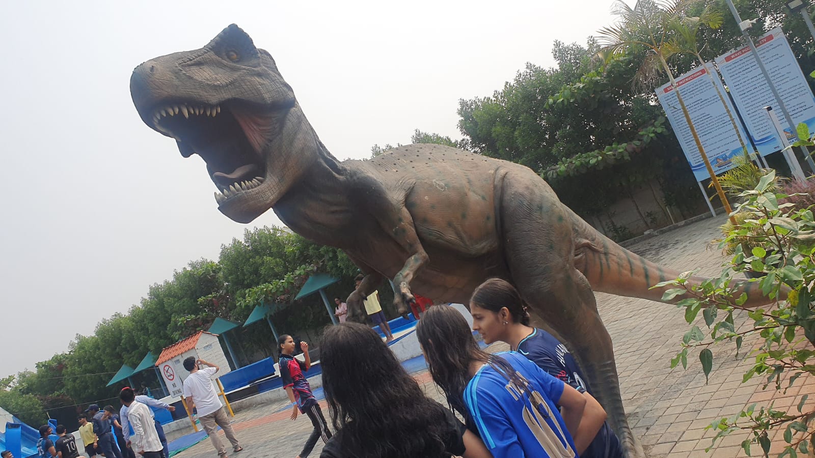 WhatsApp Image 2026-01-31 at 20.37.59 (20)