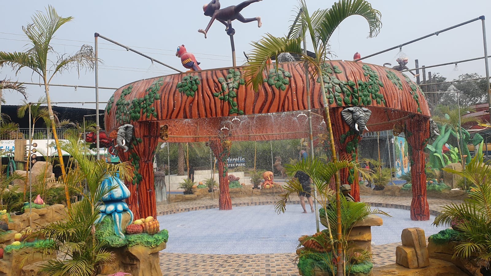 WhatsApp Image 2026-01-31 at 20.37.59 (22)